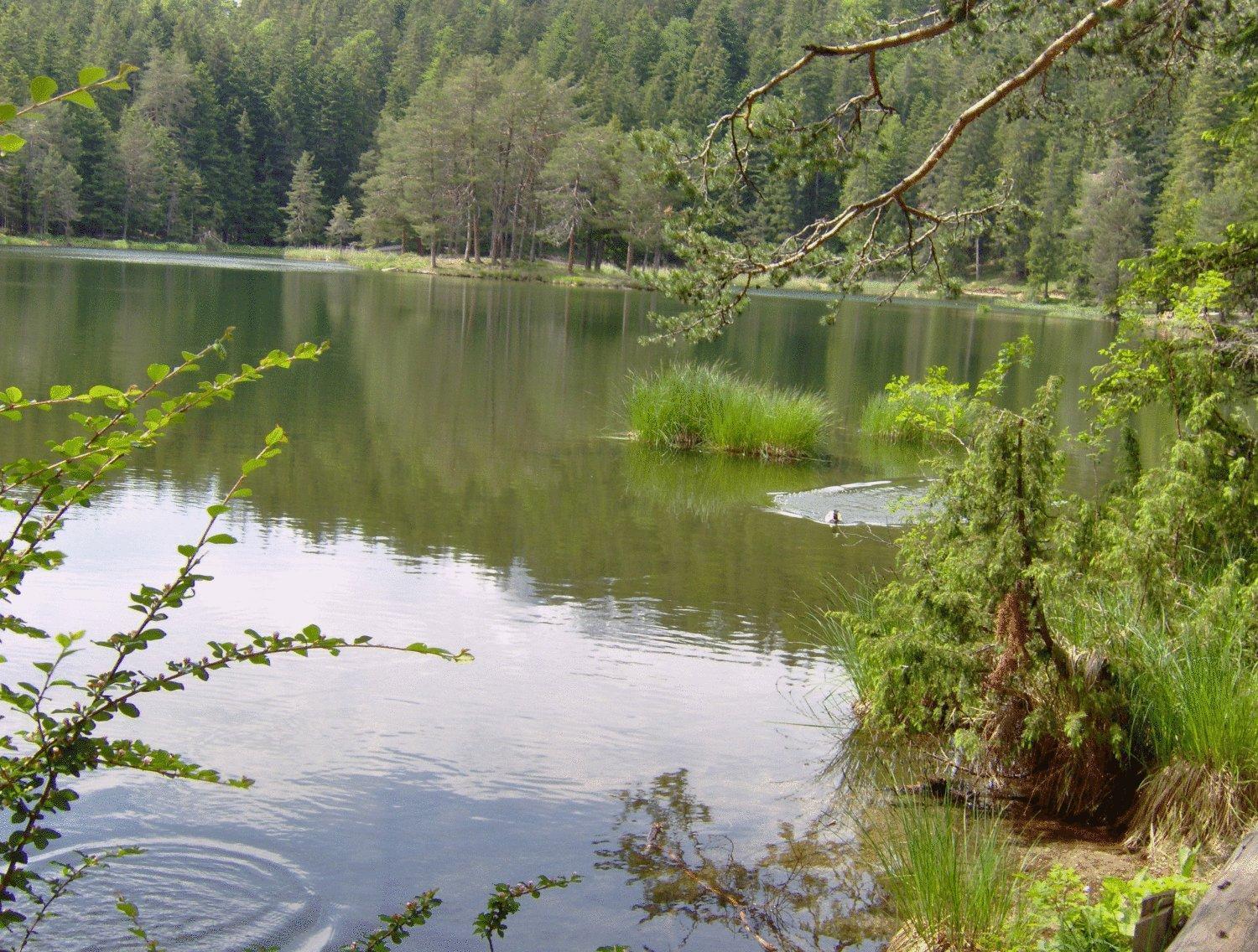 Pension Plattenhof Тельфс Экстерьер фото